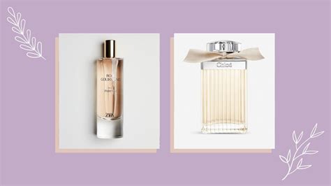 perfume similar to chloe|zara chloe dupe.